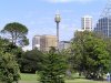 Sydney Botanic Gardens