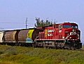 Okotoks Canadian Pacific grain train