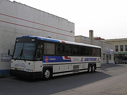 Greyhound Fort MacLeod