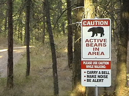 Kelowna bear warning