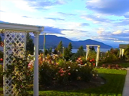 English Rose Garden Kelowna