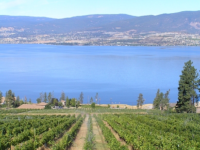 Kelowna vineyards