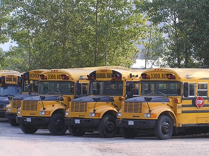 Nelson School Bus Line-up