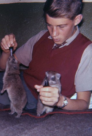 Dassies Hyrax, Duke of York School