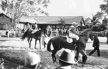 Nairobi Races 1950s