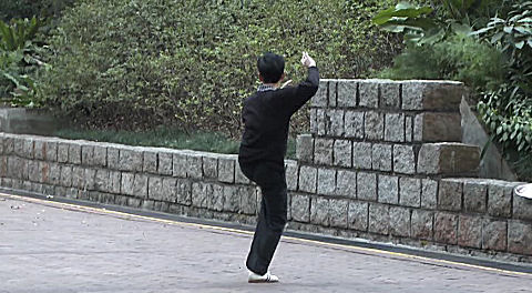 early morning Kai Chi, Kowloon Park