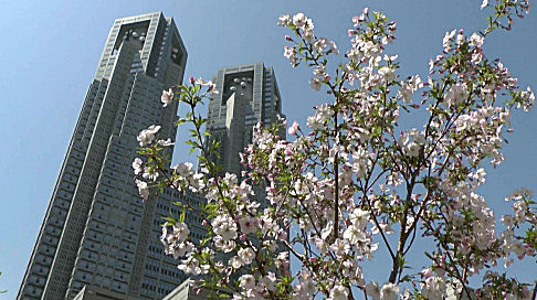 Tokyo Metropolitan Government Offices