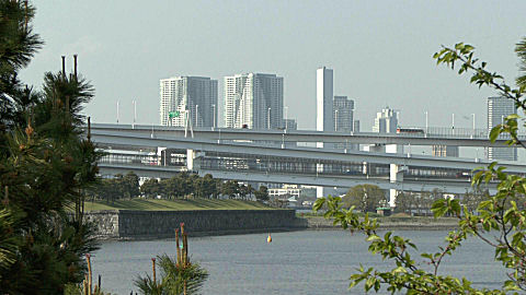 Tokyo Bay