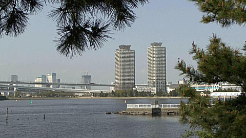 Tokyo Bay