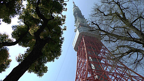 Tokyo Tower