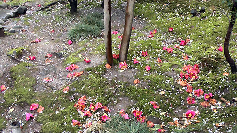 Kenroku-en Garden, Kanazawa