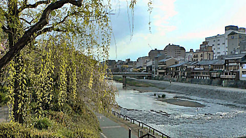 Kamo River, Kyoto