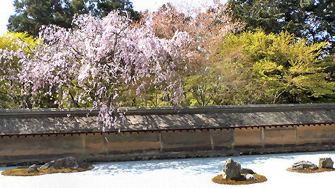 Ryoanji Stone Garden