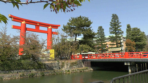 Vermilion Torii on Kama River, Kyoto