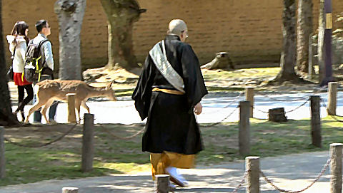 Nara Deer Park, Japan