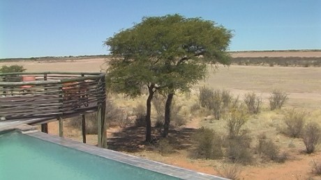 IntuAfrica Suricate Lodge