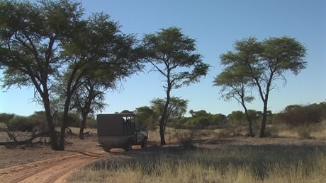 Evening game drive, IntuAfrica Private Game Reserve