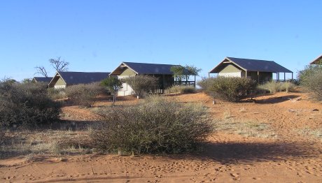 IntuAfrica Suricate Lodge