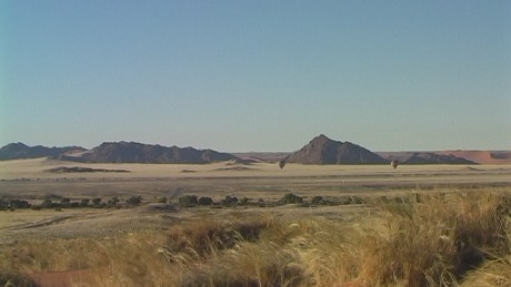 Tall desert grass, Namin-Naukluft National Park