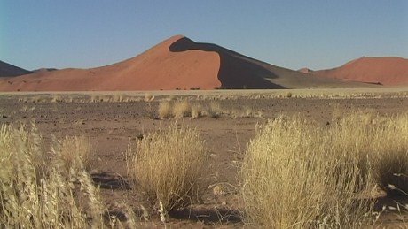 Linear dunes in the Namib Desert