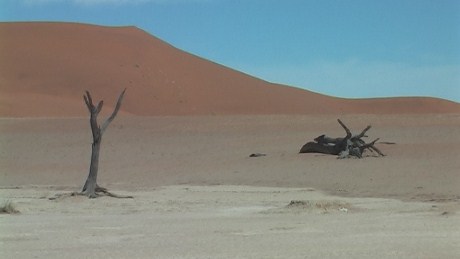 Deadvlei