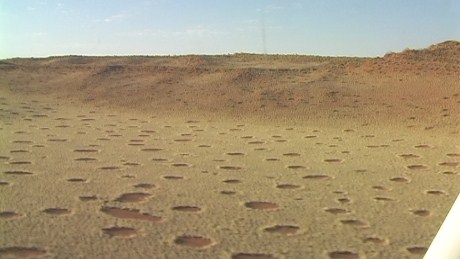 Namibian Fairy Circles