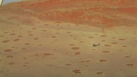 Namibian Fairy Circles