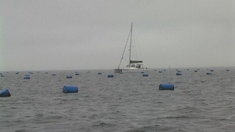 Oyster beds, Walvis Bay Lagoon