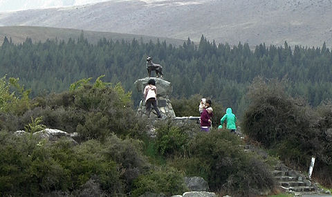 Sheepdog Memorial, Lake Tekapo