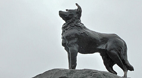 Sheepdog Memorial, Lake Tekapo