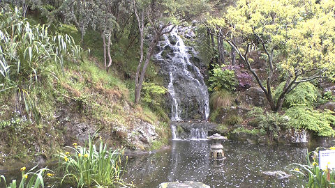 Botanic Gardens, Wellington
