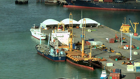 Auckland Harbour