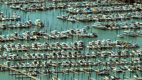 Westhaven, Auckland Harbour