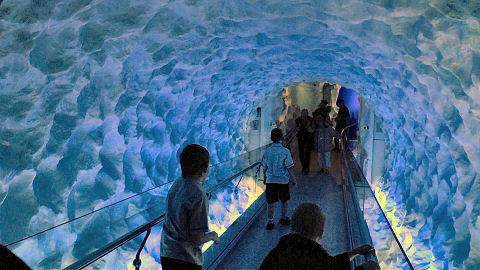 Kelly Tarlton's Aquarium, Auckland