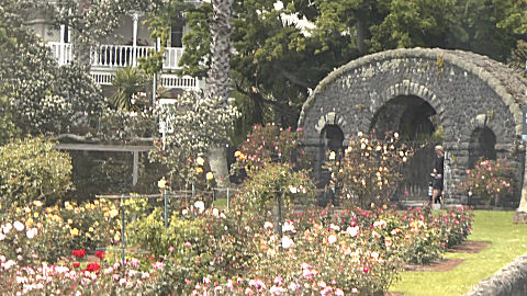 Rose Garden, Auckland