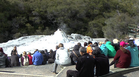 Lady Knox Geyser, Waiotapu Thermal Area