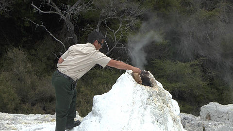 Lady Knox Geyser, Waiotapu Thermal Area