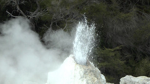 Lady Knox Geyser, Waiotapu Thermal Area