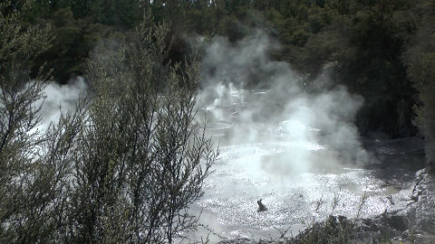 Waiotapu Thermal Area