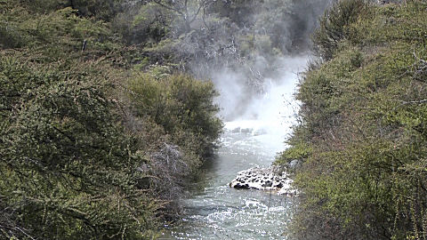 Wai-o-tapu Thermal Wonderland