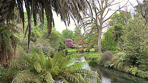 Christchurch Botanic Gardens