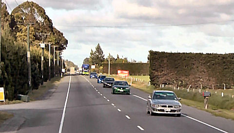 typical high protective hedges, South Island, New Zealand