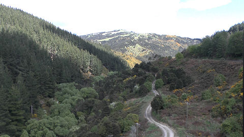 Wingatui Viaduct