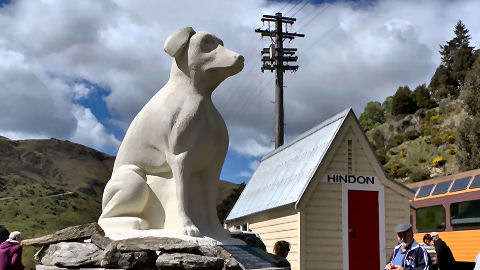 Hindon Sheep Dog, Taieri Gorge Railway