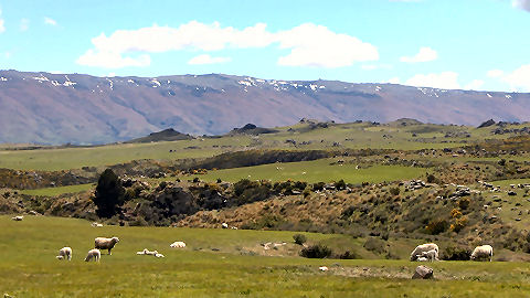 Pukerangi