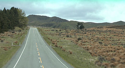 red tussocks, New Zealand South Island