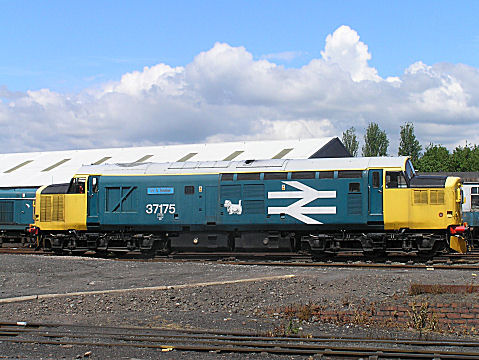 Class 37 37175