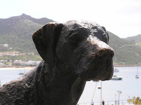 Royal Navy Dog Just Nuisance, Simon's Town