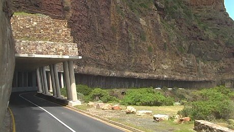 Chapman's Peak Drive Toll Road