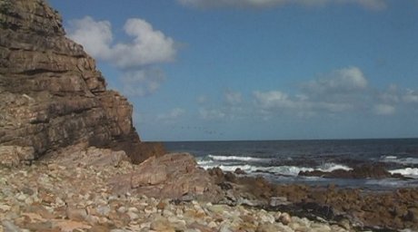 Cape of Good Hope